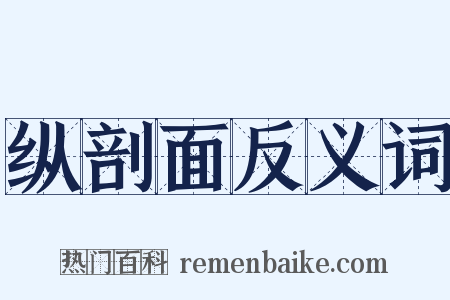 纵剖面反义词是什么意思的图片